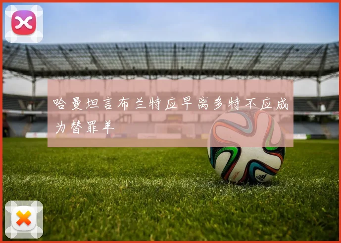 哈曼坦言布兰特应早离多特不应成为替罪羊