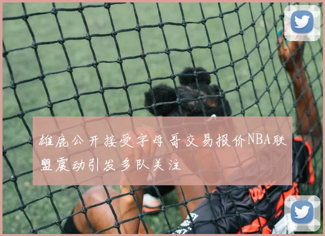 雄鹿公开接受字母哥交易报价NBA联盟震动引发多队关注